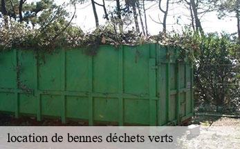 location de bennes déchets verts  prunay-sur-essonne-91720 SOS Bennes IDF